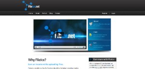 fileice net
